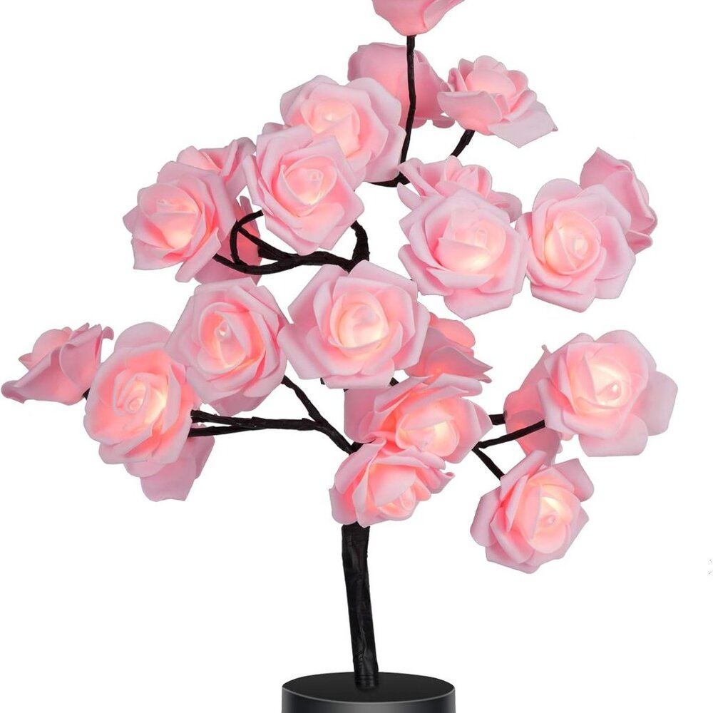COLORLIFE Birthday Mother's Day Valentine's Day for Mom Women Daughter Wife